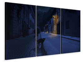 3-piece-canvas-print-le-chat-noir