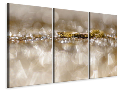 3-piece-canvas-print-life-among-diamonds