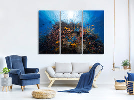 3-piece-canvas-print-life-explosion