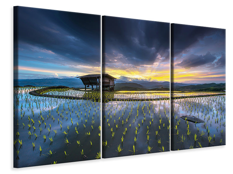 3-piece-canvas-print-light-in-rice