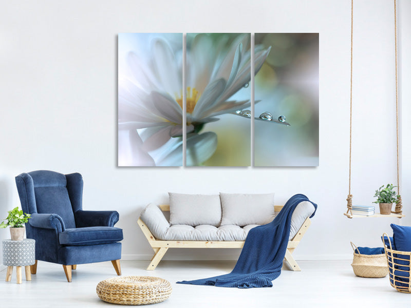 3-piece-canvas-print-light-touch