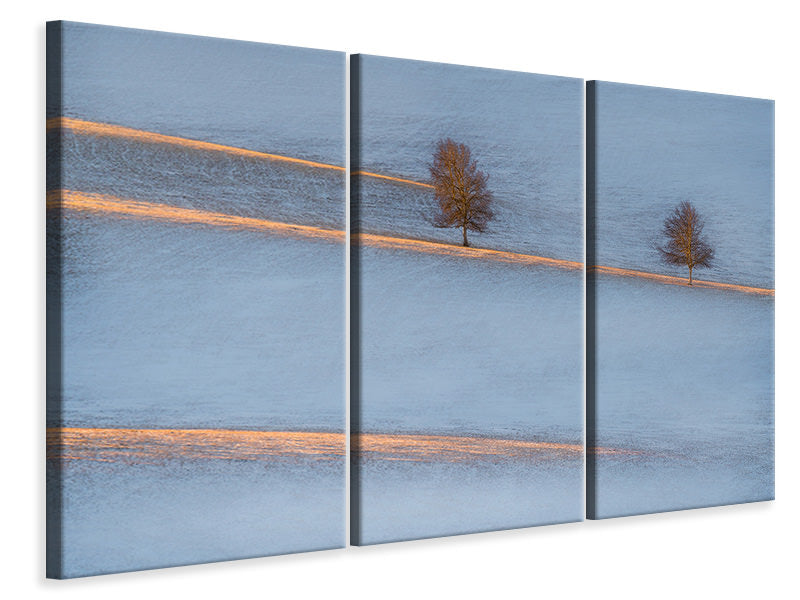 3-piece-canvas-print-light-traces