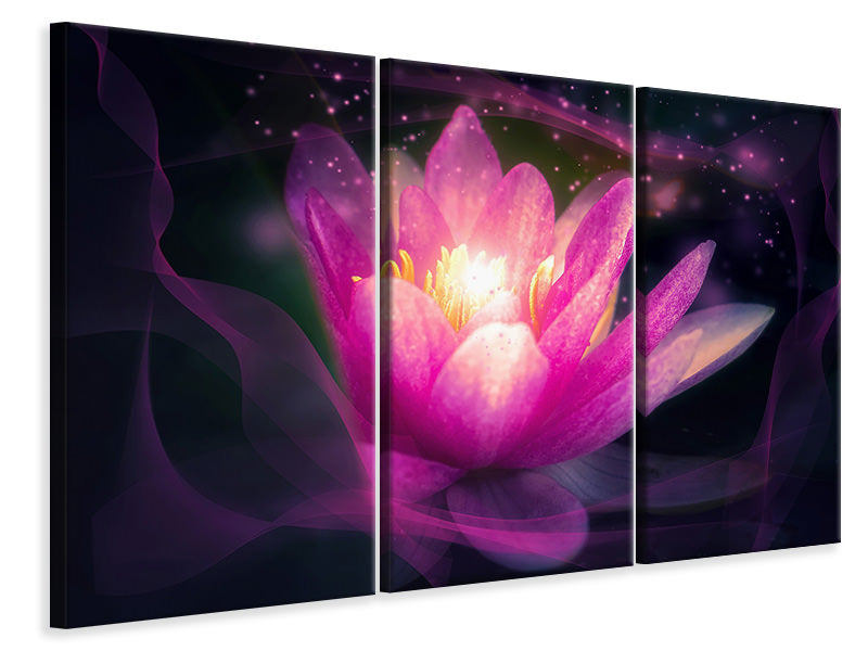 3-piece-canvas-print-lily-in-the-light-play