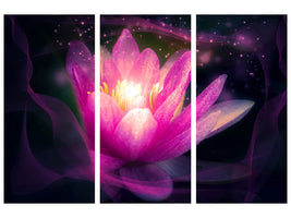 3-piece-canvas-print-lily-in-the-light-play