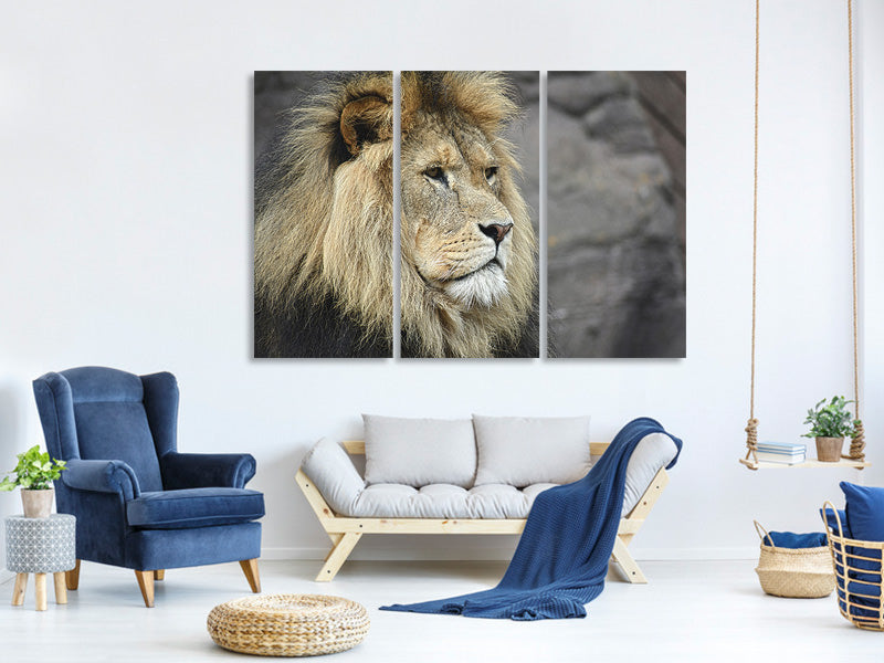 3-piece-canvas-print-lion-head-xl