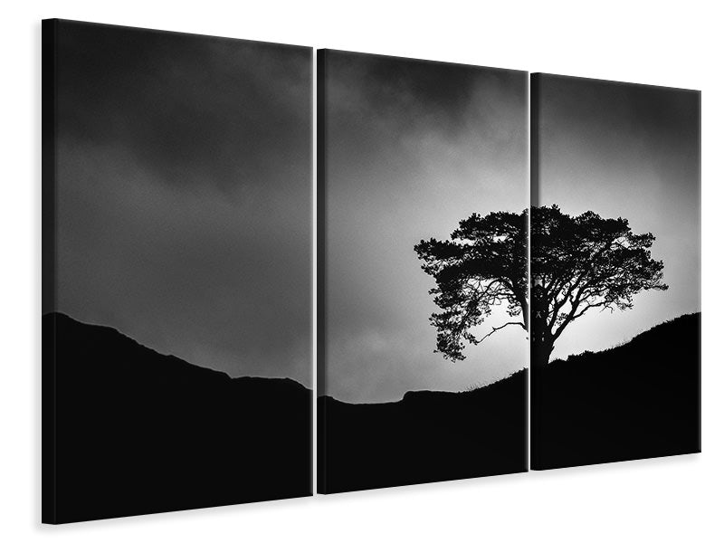 3-piece-canvas-print-lone-tree