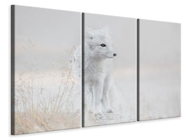 3-piece-canvas-print-looking-around