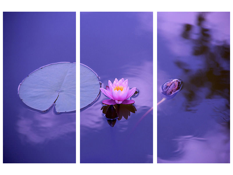 3-piece-canvas-print-lotus-flower