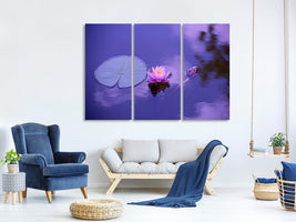 3-piece-canvas-print-lotus-flower