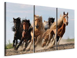 3-piece-canvas-print-lucky-six