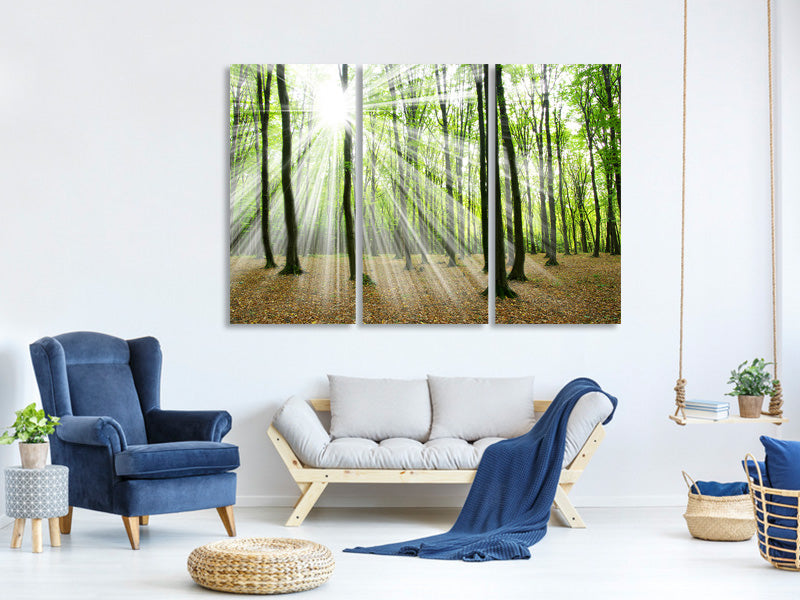 3-piece-canvas-print-magic-light-in-the-trees
