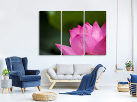 3-piece-canvas-print-marko-lotus-in-pink