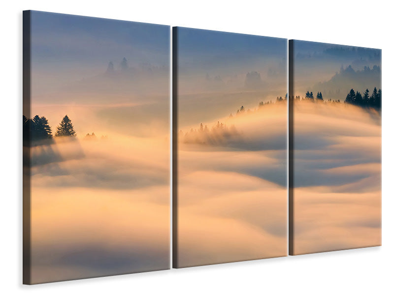 3-piece-canvas-print-misty-morning-a