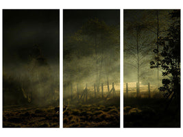 3-piece-canvas-print-misty-morning-ii