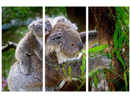 3-piece-canvas-print-mom-and-baby-koala