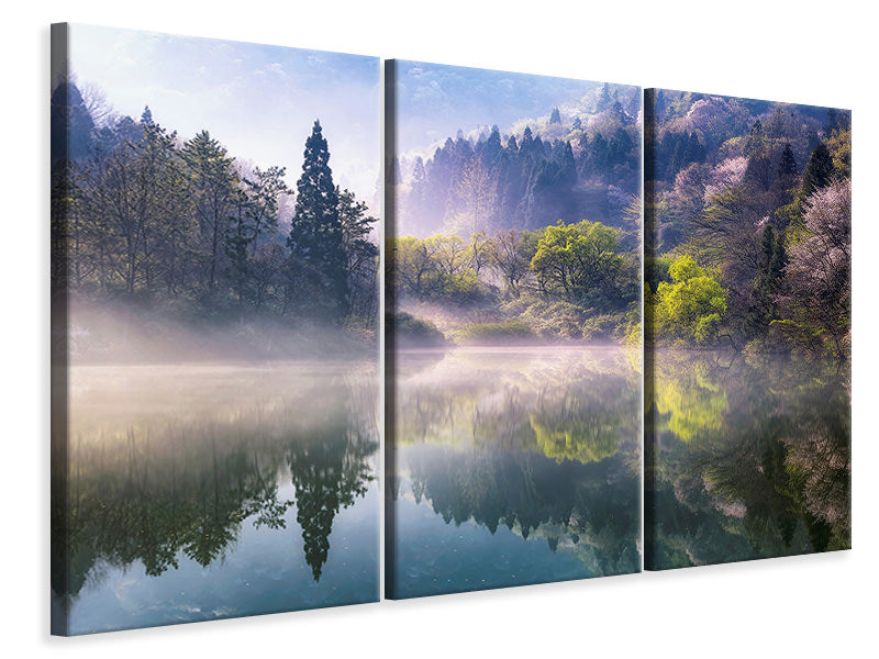 3-piece-canvas-print-morning-calm