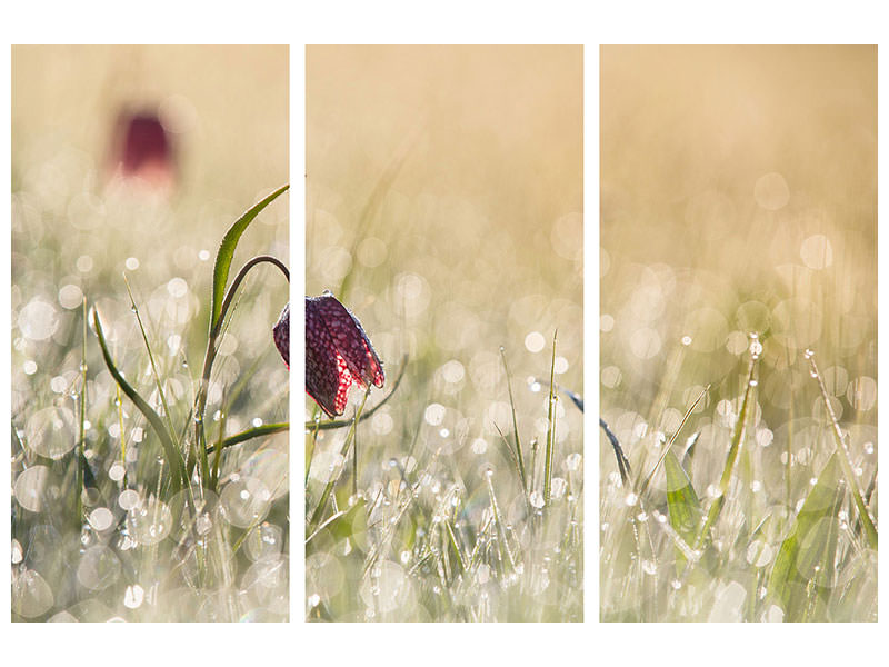 3-piece-canvas-print-morningdew