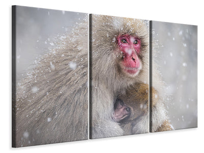 3-piece-canvas-print-mothers-warmth