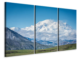 3-piece-canvas-print-mt-denali