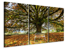 3-piece-canvas-print-my-favorite-tree