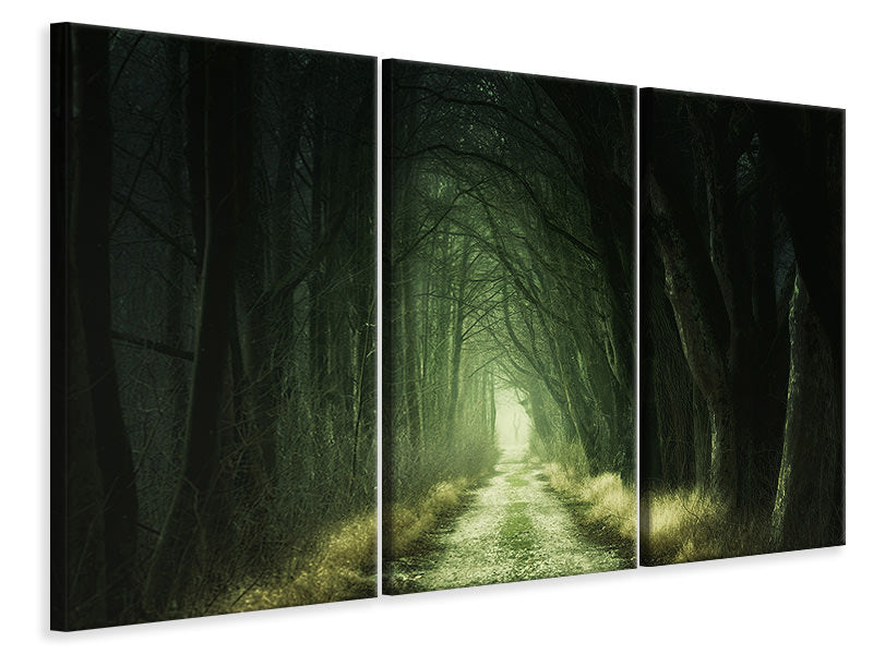 3-piece-canvas-print-mysterious-forest-iii