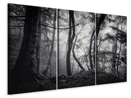 3-piece-canvas-print-mysterious-light