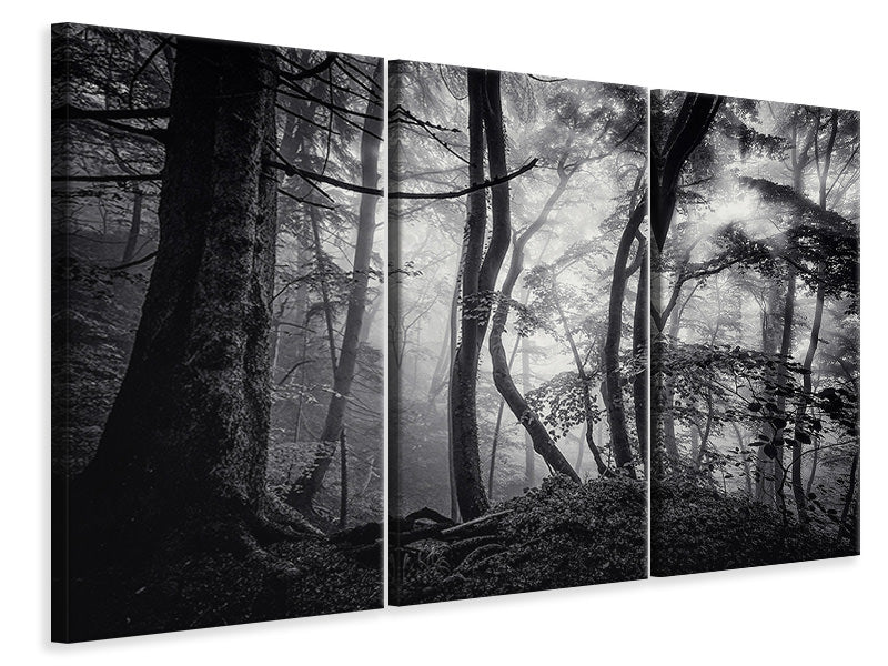 3-piece-canvas-print-mysterious-light