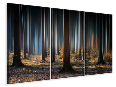 3-piece-canvas-print-mystic-wood