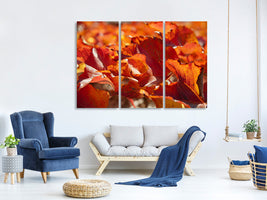 3-piece-canvas-print-nice-autumn-leaves