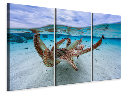 3-piece-canvas-print-octopus-ii