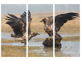 3-piece-canvas-print-open-wings