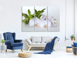 3-piece-canvas-print-orchid-and-bamboo