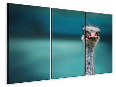 3-piece-canvas-print-ostrich-protecting-two-poor-chicken-from-the-wind