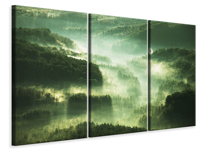 3-piece-canvas-print-over-the-woods