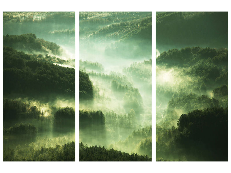 3-piece-canvas-print-over-the-woods