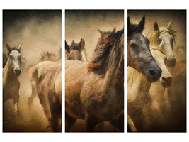 3-piece-canvas-print-painting-wild-horses