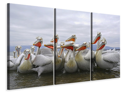 3-piece-canvas-print-pay-attention
