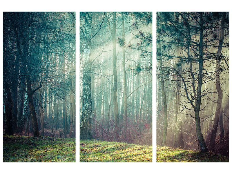 3-piece-canvas-print-pinewood