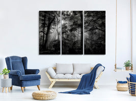 3-piece-canvas-print-primary-forest