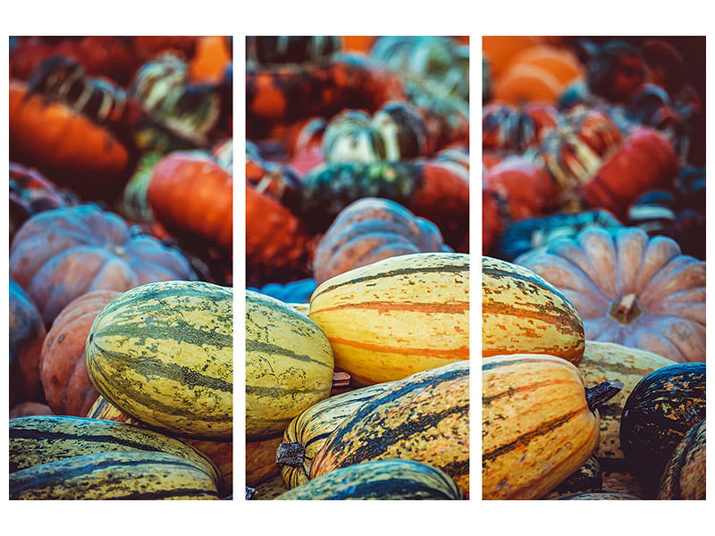 3-piece-canvas-print-pumpkin-types