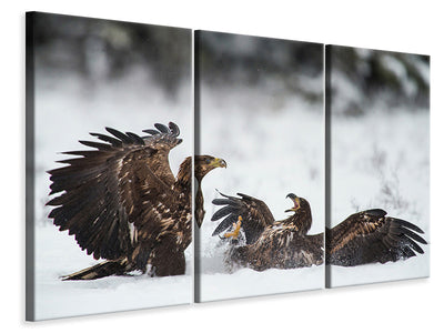 3-piece-canvas-print-ready-to-fight