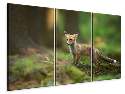 3-piece-canvas-print-red-fox