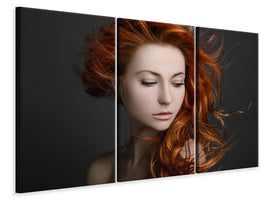 3-piece-canvas-print-red-hair