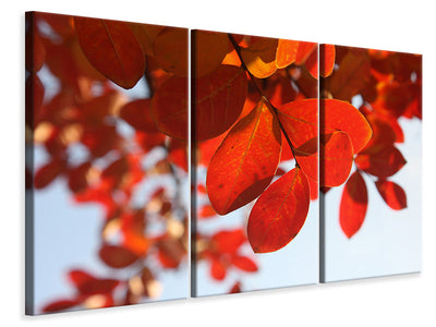 3-piece-canvas-print-red-leaves-xl