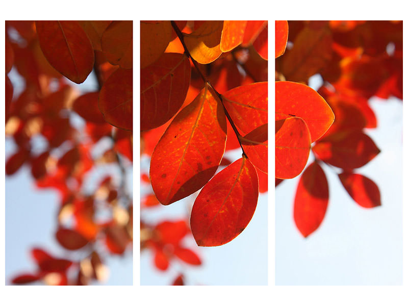 3-piece-canvas-print-red-leaves-xl