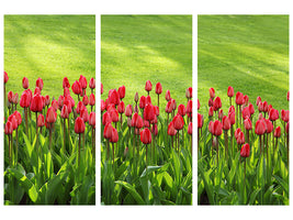 3-piece-canvas-print-red-tulip-field-in-the-sunlight