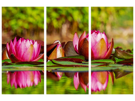 3-piece-canvas-print-red-water-lily-trio