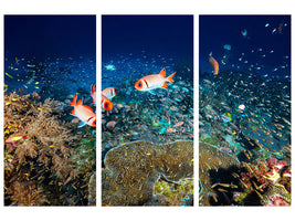 3-piece-canvas-print-reef-lifeii