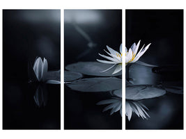 3-piece-canvas-print-reflection-iv