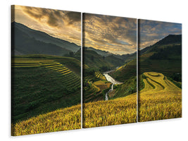 3-piece-canvas-print-riceterrace